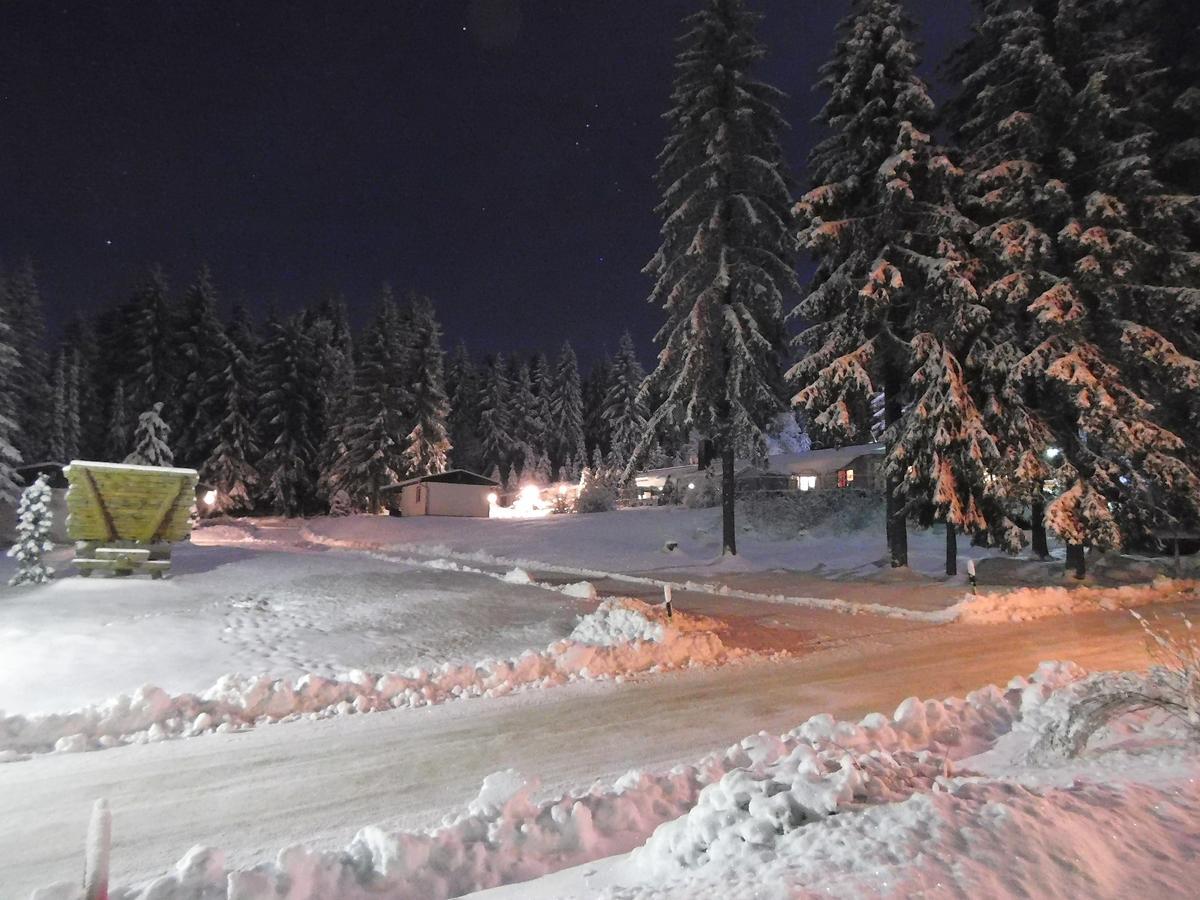 Waldhotel Rennsteighoehe เฟราเอนวาล์ด ภายนอก รูปภาพ